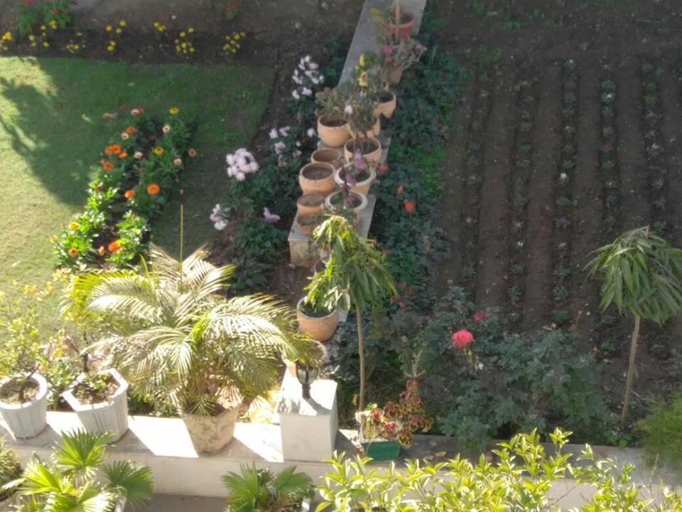 Heritage Homestay Jammu Exterior photo