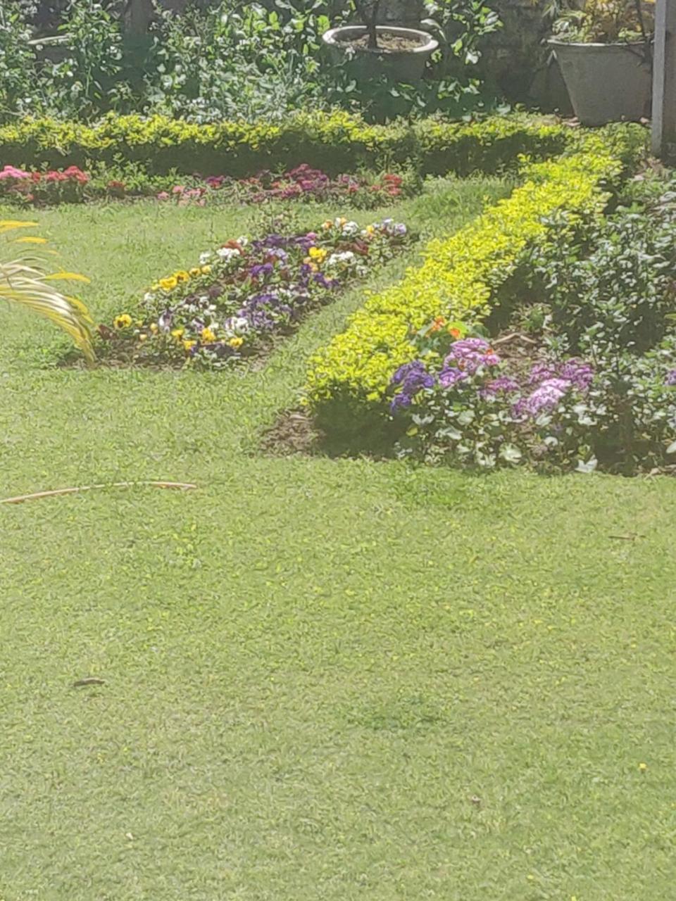 Heritage Homestay Jammu Exterior photo
