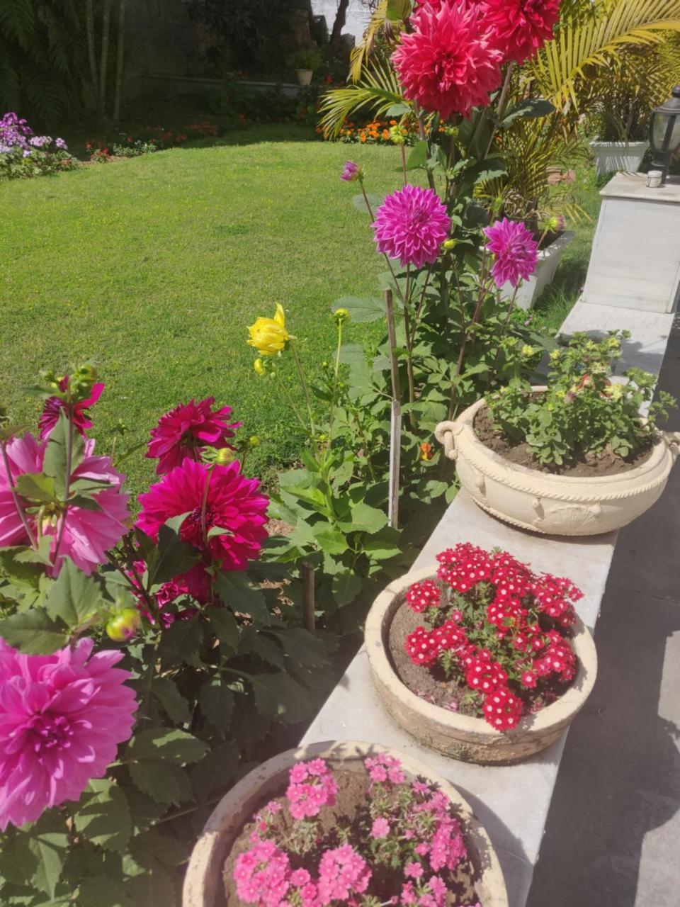Heritage Homestay Jammu Exterior photo